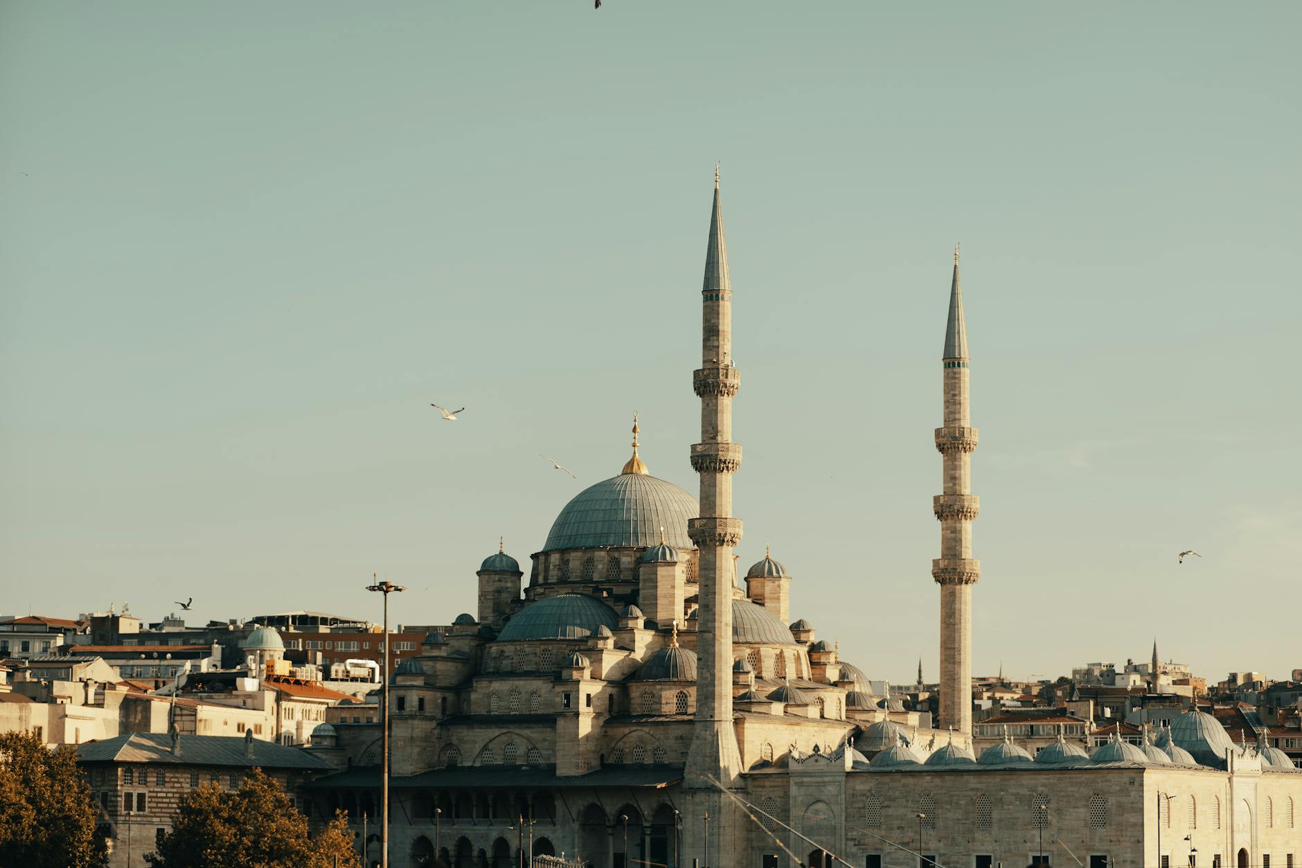 A beautiful view of a historic mosque in Istanbul with towering minarets under a clear sky.