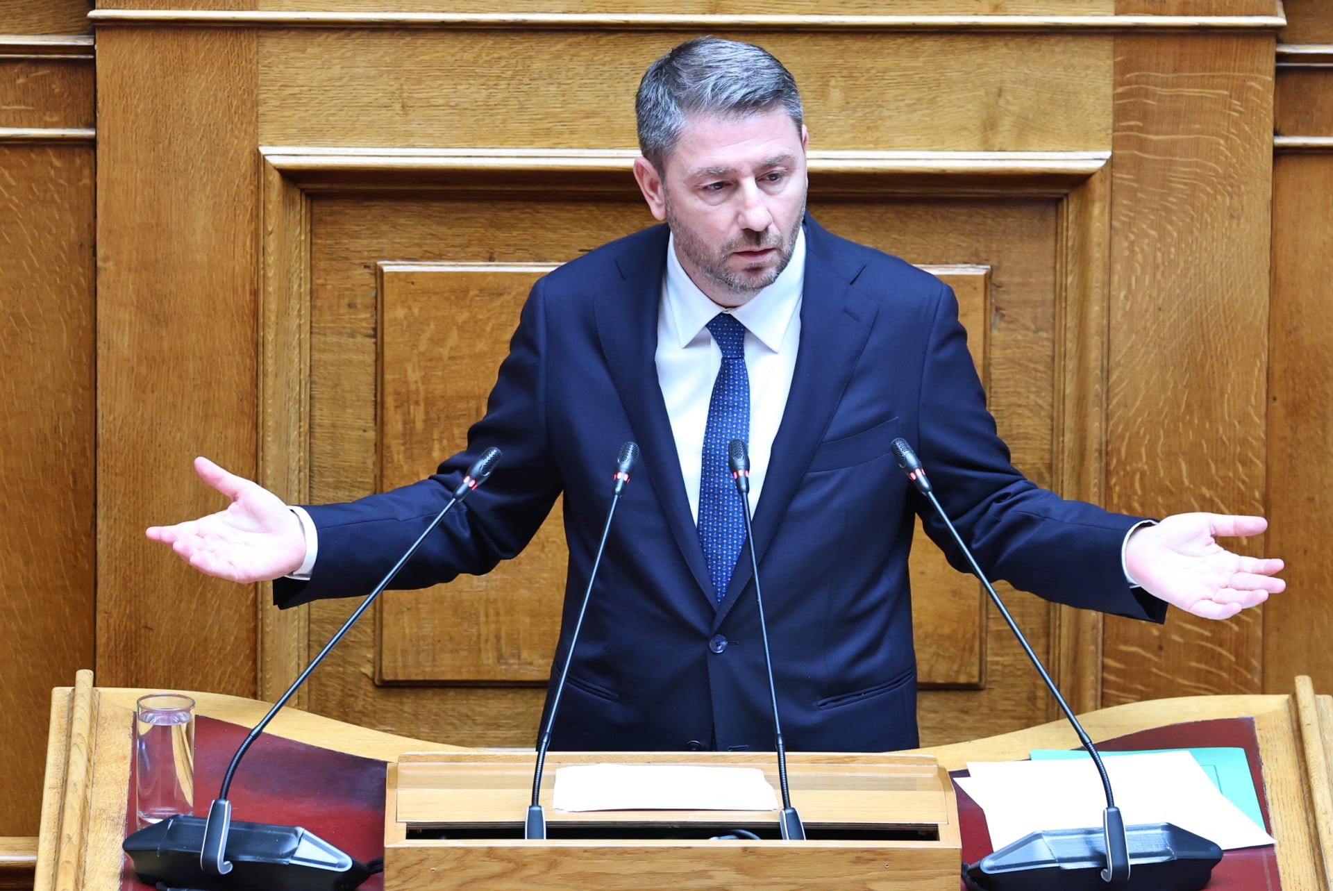 Ανδρουλάκης: Η συνταγματική αναθεώρηση δεν είναι χώρος για φθηνούς τακτικισμούς