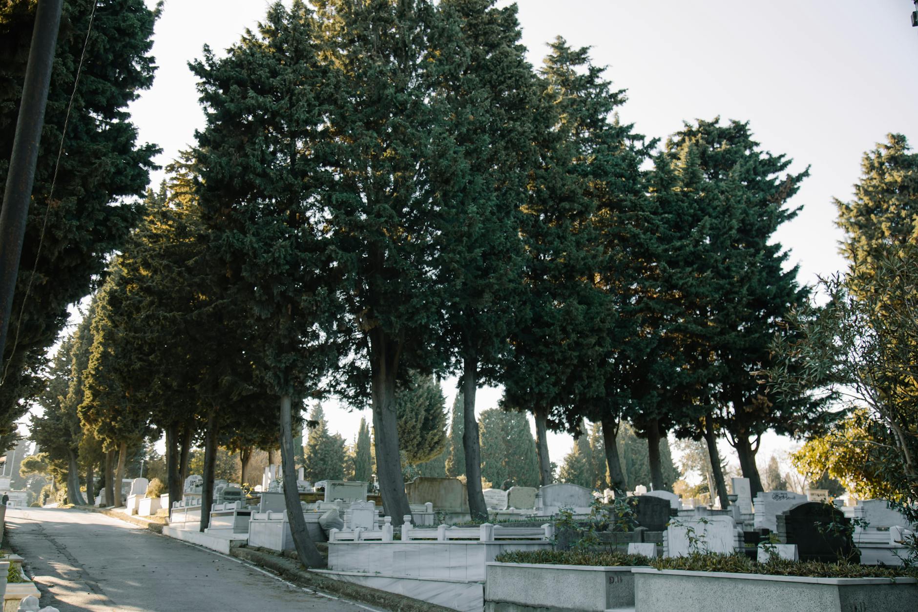 Ο Μάριος Οικονόμου έφυγε από τη ζωή σε ηλικία 33 ετών