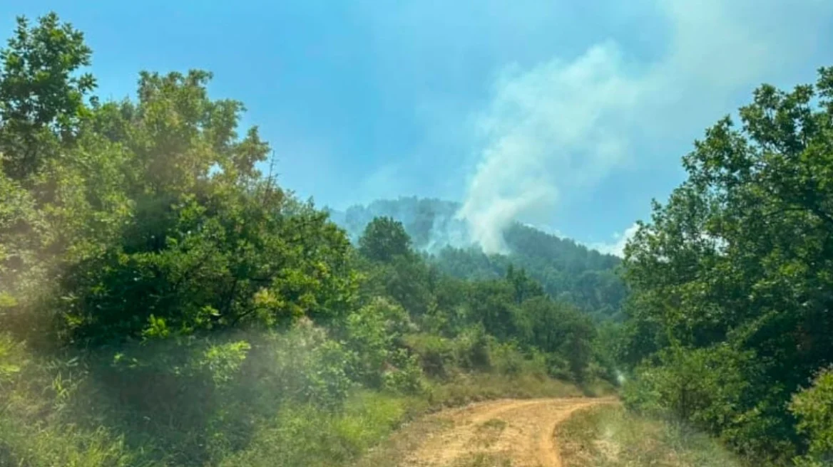 Φωτιά σε δασική έκταση στα Κανάλια Μουζακίου Καρδίτσας