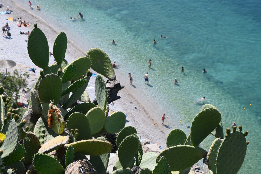 Άνοδος θερμοκρασίας έως 39 βαθμούς και υψηλός κίνδυνος πυρκαγιάς