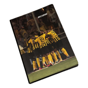 Πρόταση 7 εκατ. ευρώ από τη Μοντερέι για τον Πινέδα της ΑΕΚ