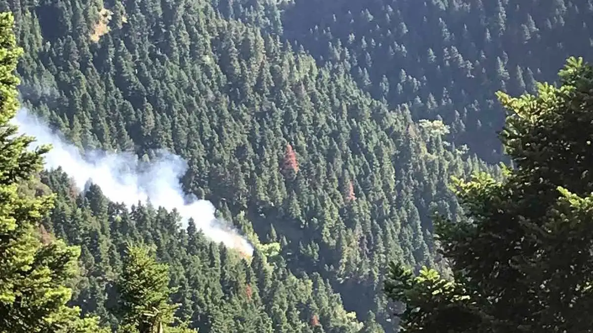 Υψηλός κίνδυνος πυρκαγιάς την Κυριακή στη Δυτική Ελλάδα