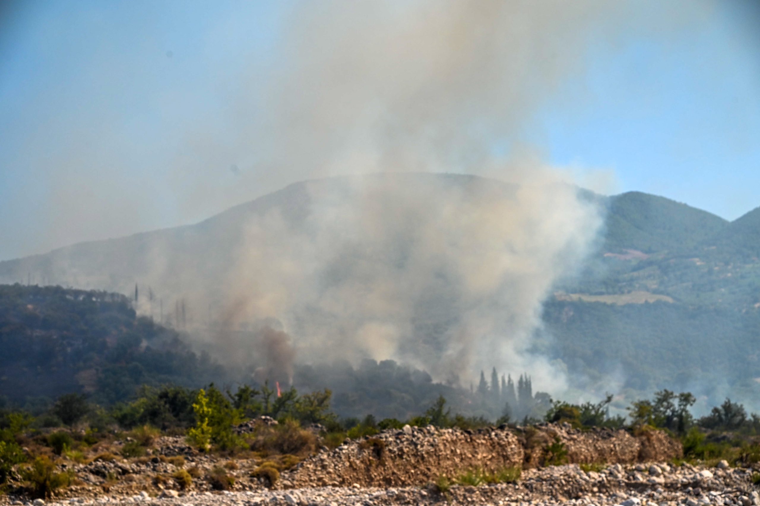 Φωτιά σε δασική έκταση στο Κουνουπέλι Ηλείας — Σε εξέλιξη η επιχείρηση κατάσβεσης