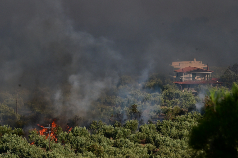 Πυρκαγιά στην Αττικοβοιωτία: Γιατί οι ειδικοί μιλούν για φαινόμενο mega fire