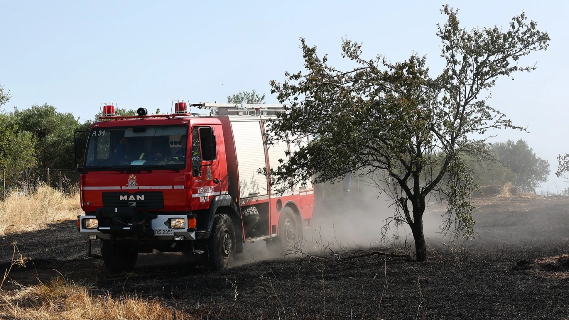 Φωτιά στην Κοτύλη Κιλκίς: Επιχειρούν 40 πυροσβέστες