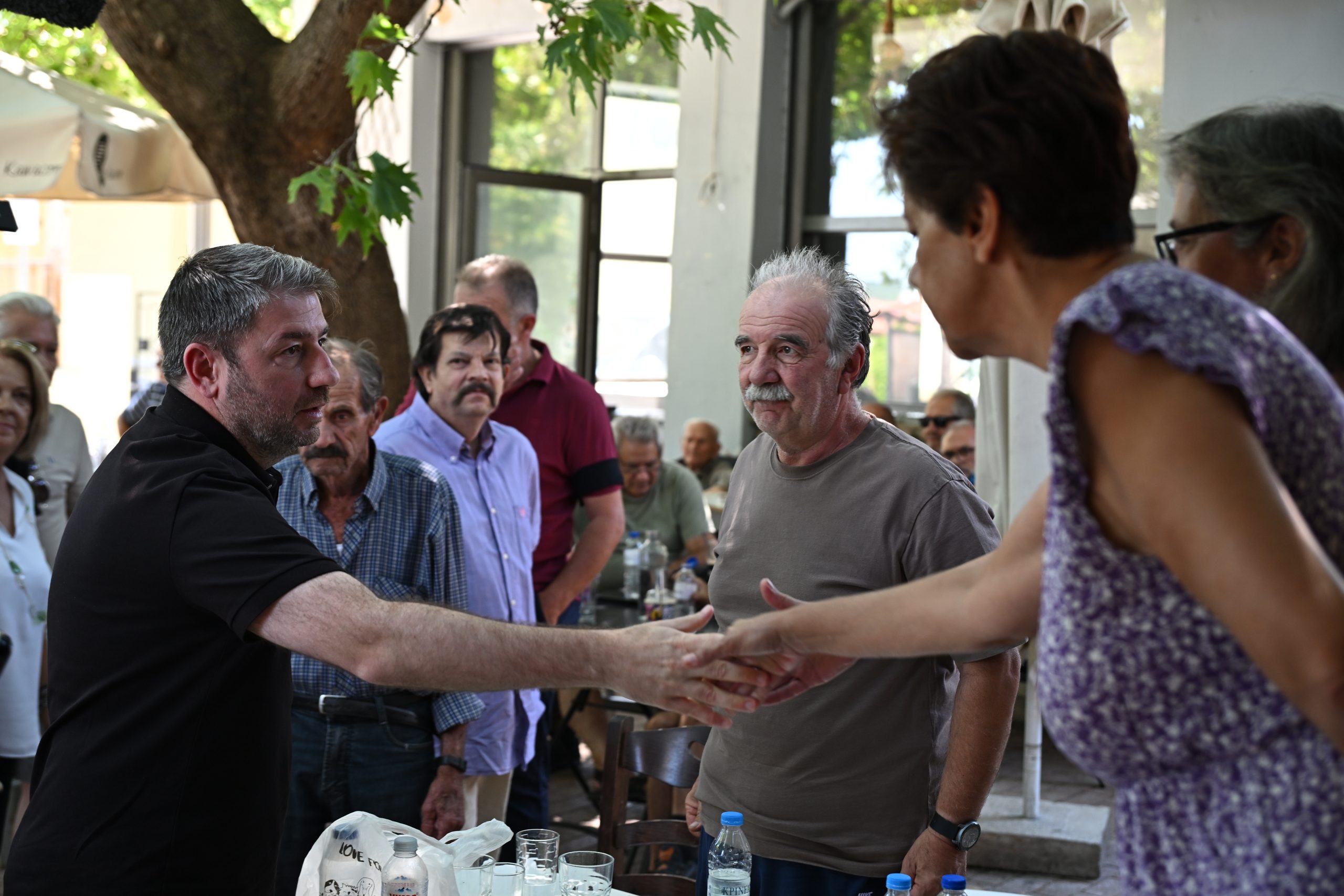 Βοιωτία: Ο Ανδρουλάκης επικρίνει τον κρατικό μηχανισμό — «Η κλιματική κρίση δεν είναι άλλοθι»