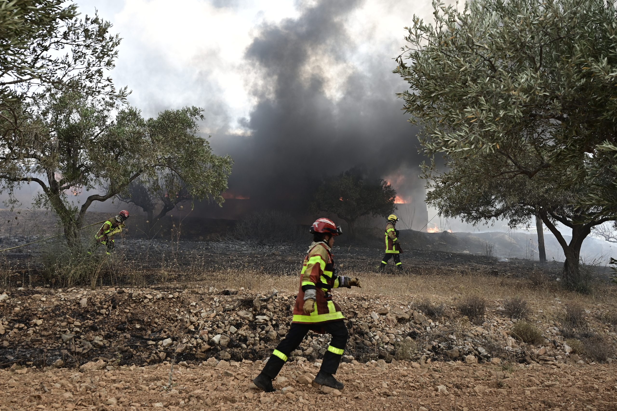 Ακόντιο Βοιωτίας: Υπό έλεγχο η πυρκαγιά — χωρίς ενεργό μέτωπο