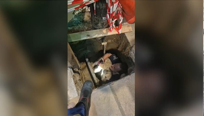 Θεσσαλονίκη: Επιχείρηση διάσωσης για τον 17χρονο σκύλο που έπεσε σε τρύπα 3 μέτρων