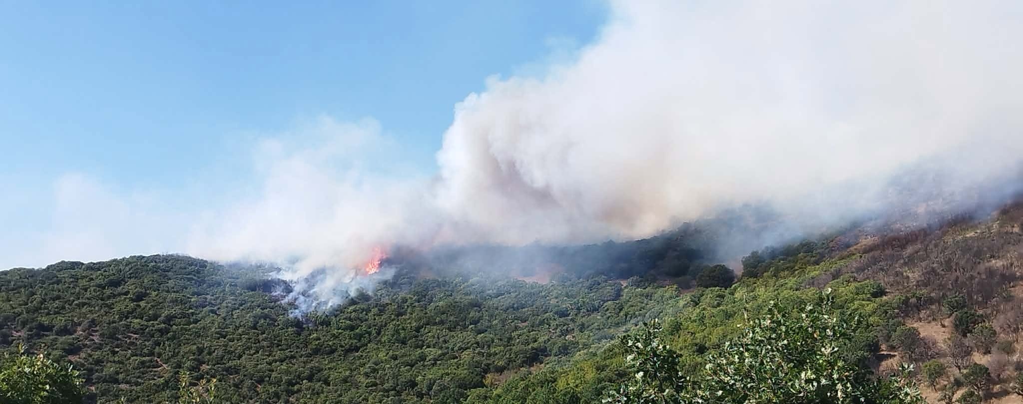 Φωτιά στα Σπάτα Καρύστου: Μήνυμα από το 112 στους κατοίκους