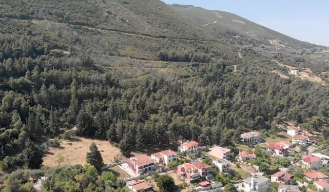 Πάτρα: Σε επιφυλακή ο Δήμος για πυρκαγιές — απαγόρευση κυκλοφορίας σε δασικές περιοχές
