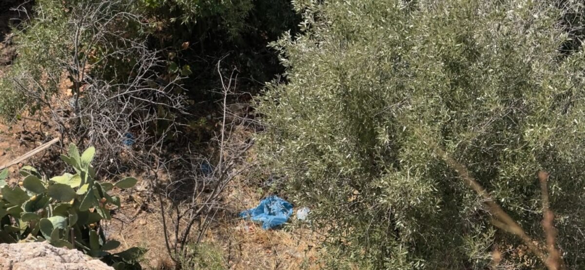 Κυψέλη: Ανθρώπινα οστά εντοπίστηκαν κοντά σε γήπεδο στην Αλεπότρυπα