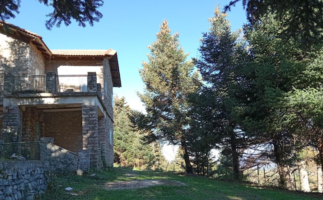 Τσαπουρνιά: Θεία λειτουργία και αρτοκλασία στο εκκλησάκι της Παναγίας Γοργοεπηκόου