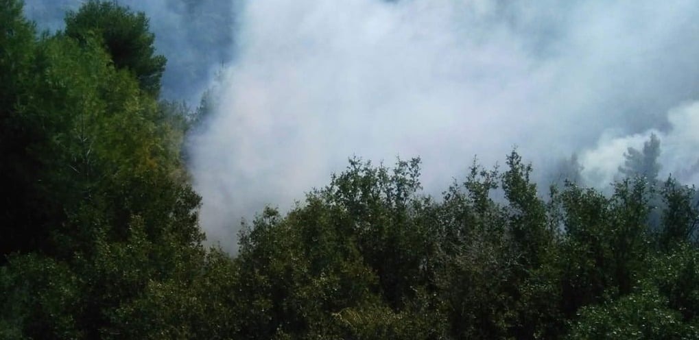 Μεγάλη φωτιά στην Αιγιαλεία — σε εξέλιξη η επιχείρηση κατάσβεσης
